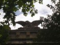 /album/fotogaleria-la-casa-del-aguila1/aguila1-jpg1/